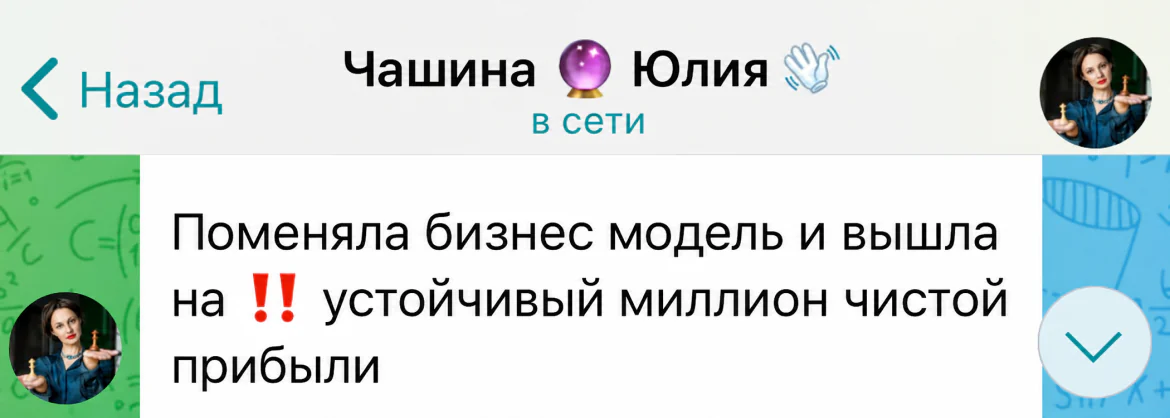 Отзыв Юлии Чашиной: поменяла бизнес-модель и вышла на устойчивый миллион чистой прибыли